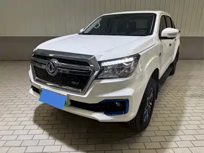 Dongfeng Rich 6 New Energy 2023