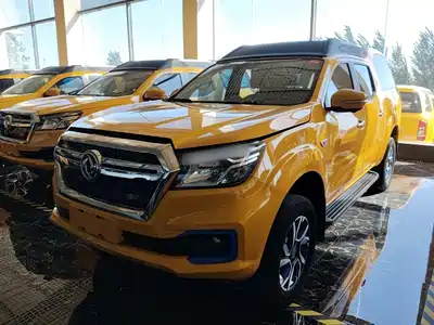 Dongfeng Rich 6 New Energy 2021