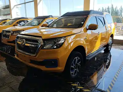 Dongfeng Rich 6 New Energy 2021
