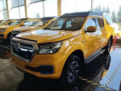 Dongfeng Rich 6 New Energy 2021