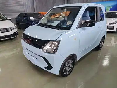 Dongfeng Fengguang MINIEV 2023