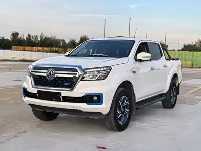 Dongfeng Rich 6 New Energy 2023