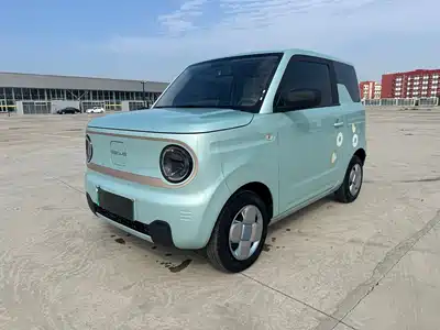 Geely Galaxy Panda 2023