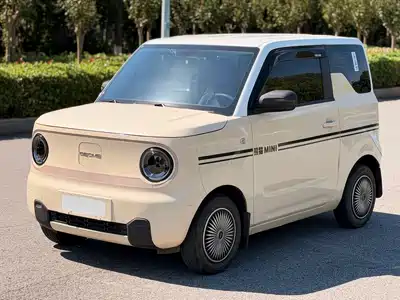 Geely Galaxy Panda 2024