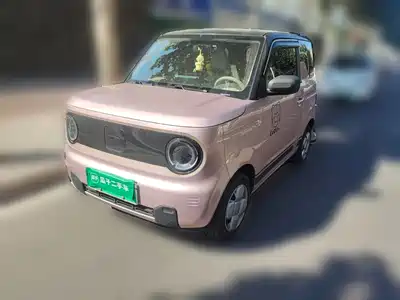 Geely Galaxy Panda 2024