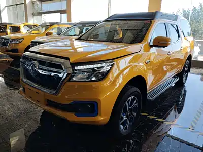 Dongfeng Rich 6 New Energy 2021