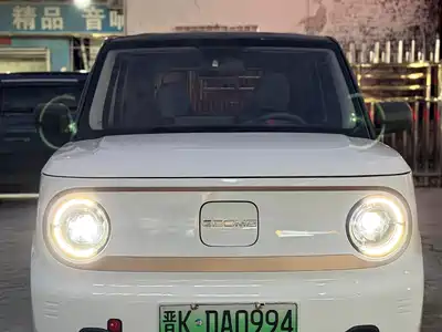 Geely Galaxy Panda 2024