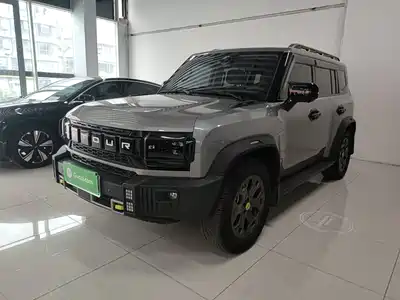 Jetour Shanhai T2 2024