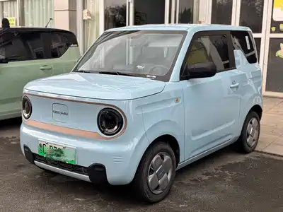 Geely Galaxy Panda 2023