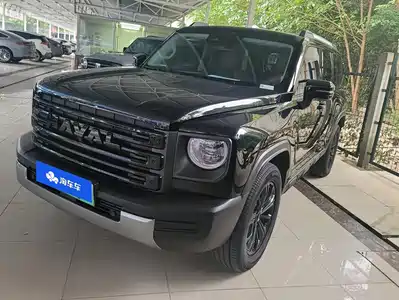 Haval Meng Long NEV 2024