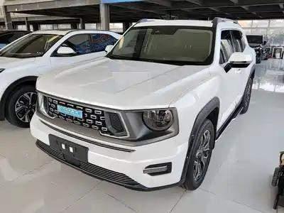 Haval Dargo 2nd Gen New Energy 2023