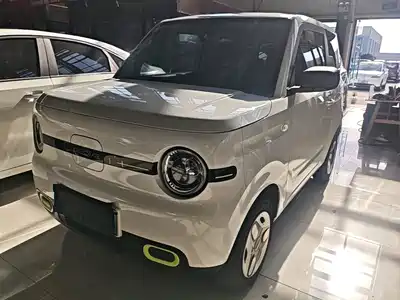 Geely Galaxy Panda 2025