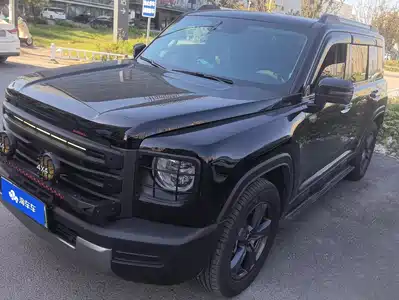 Haval Meng Long NEV 2023
