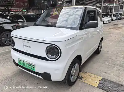 Geely Galaxy Panda 2025