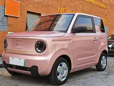 Geely Galaxy Panda 2023