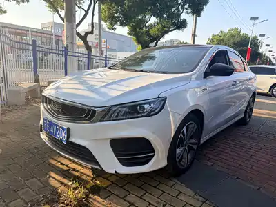 Geely Binrui 2019