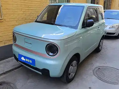 Geely Galaxy Panda 2024