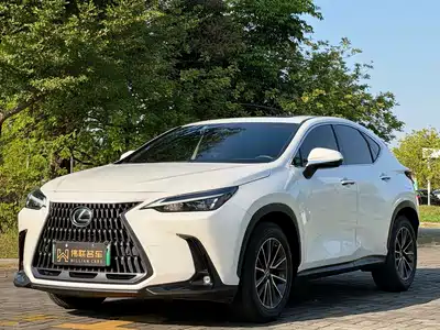 Lexus NX New Energy 2022
