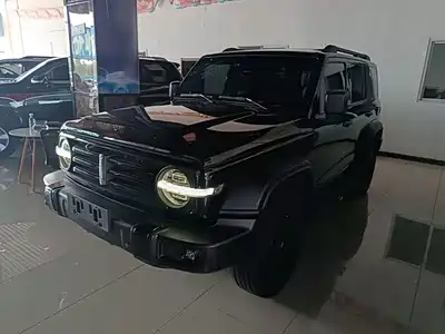 Tank 300 2021