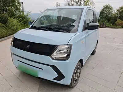 Dongfeng Fengguang MINIEV 2023