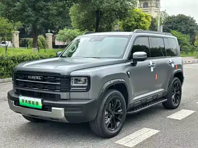 Haval Meng Long NEV 2025