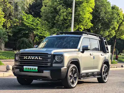 Haval Meng Long NEV 2024