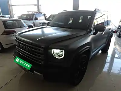Haval Meng Long NEV 2024
