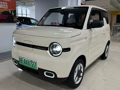 Geely Galaxy Panda 2025