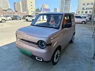 Geely Galaxy Panda 2025