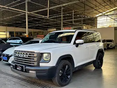 Haval Meng Long NEV 2024