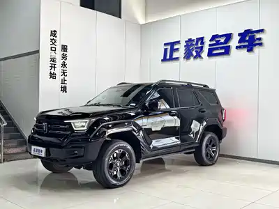 Tank 400 New Energy 2024