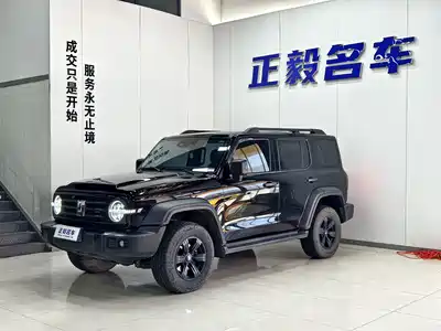 Tank 300 2021