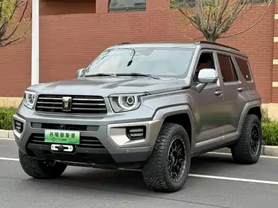 Tank 700 New Energy 2024