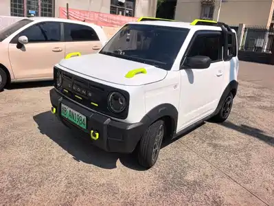 Geely Galaxy Panda 2024