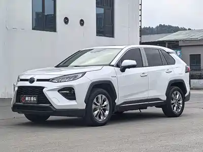 Toyota Wildlander 2020