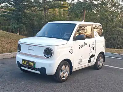 Geely Galaxy Panda 2024