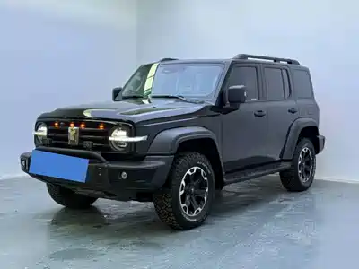 Tank 300 New Energy 2025
