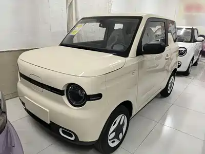 Geely Galaxy Panda 2026