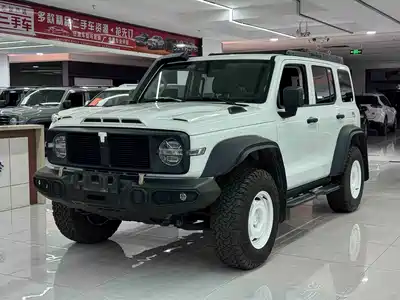 Tank 300 2024