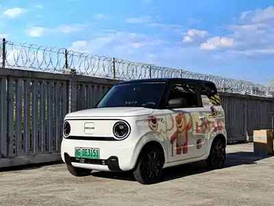 Geely Galaxy Panda 2023