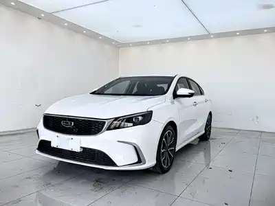 Geely Binrui 2021
