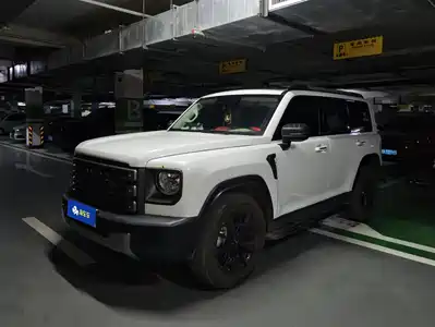 Haval Meng Long NEV 2024