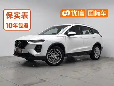 Haima 8S 2021