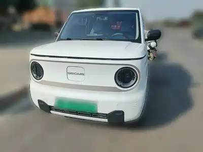 Geely Galaxy Panda 2023