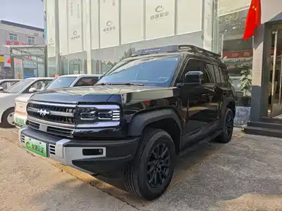 Fang Cheng Bao Leopard 5 2024