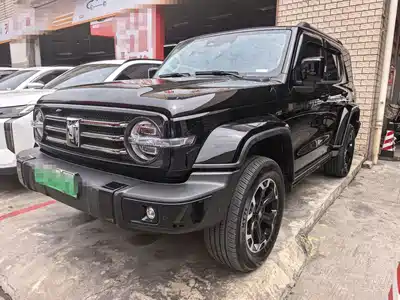 Tank 300 New Energy 2024