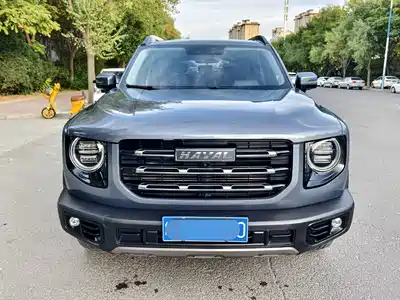 Haval Dargo 2021