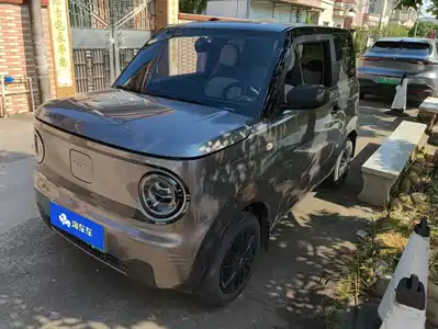 Geely Galaxy Panda 2024