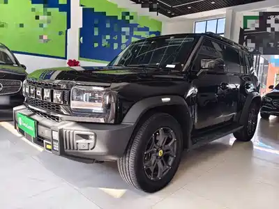 Jetour Shanhai T2 2024
