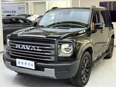 Haval Meng Long NEV 2024